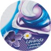 dash_lavanda_mini